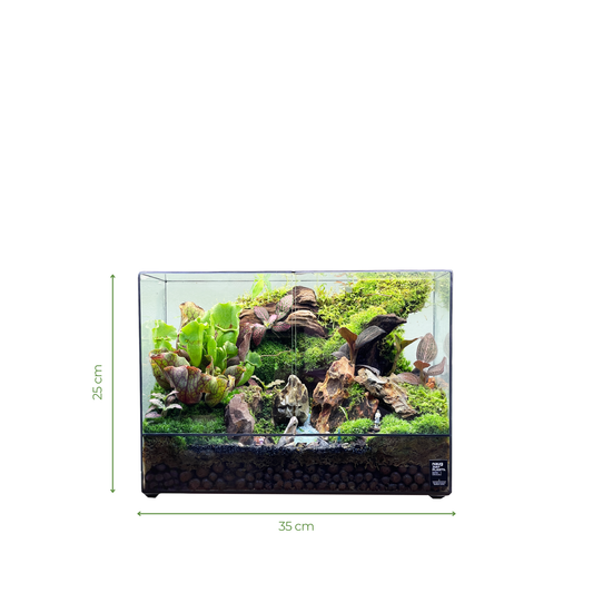 Green Wall Terrarium Series