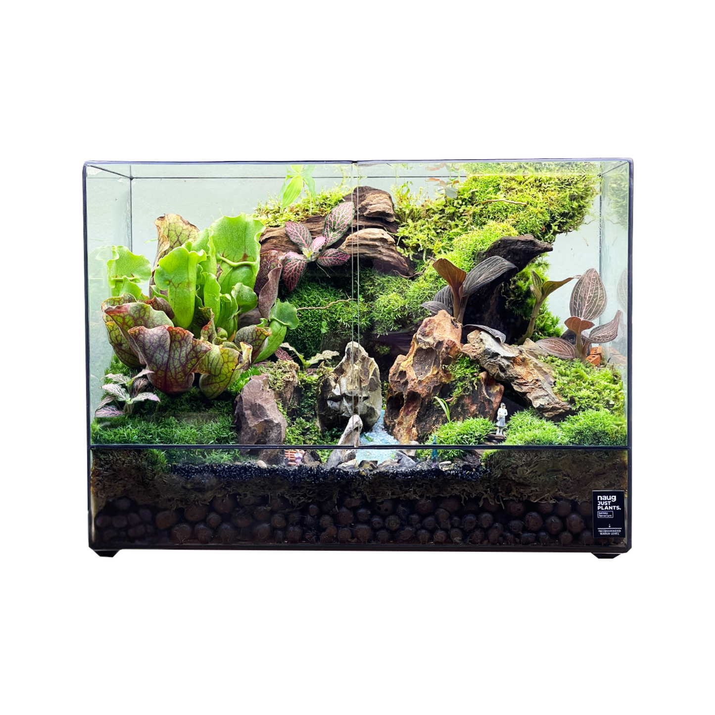Green Wall Terrarium 35CM x 15CM x 25.7CM