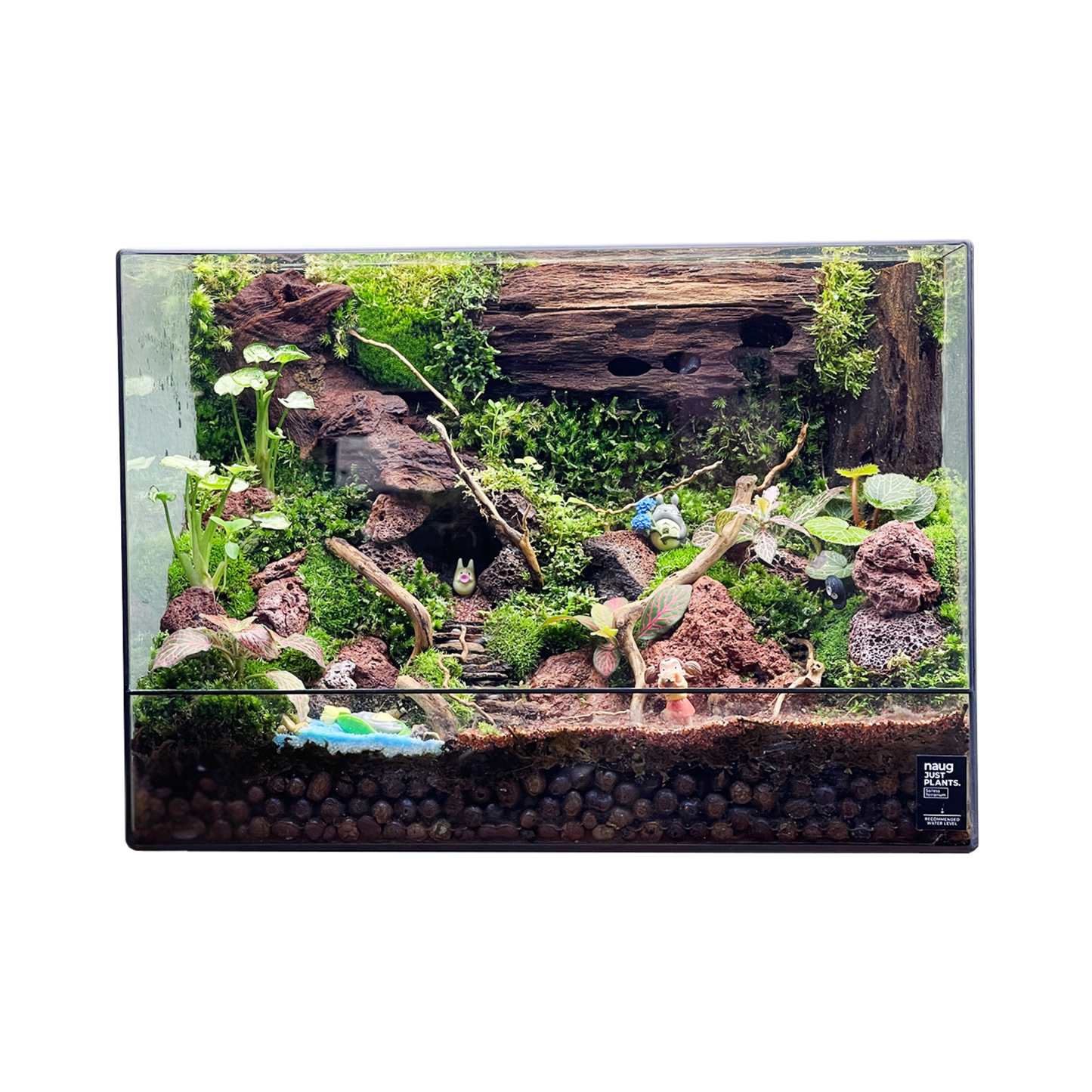 Green Wall Terrarium 35CM x 15CM x 25.7CM
