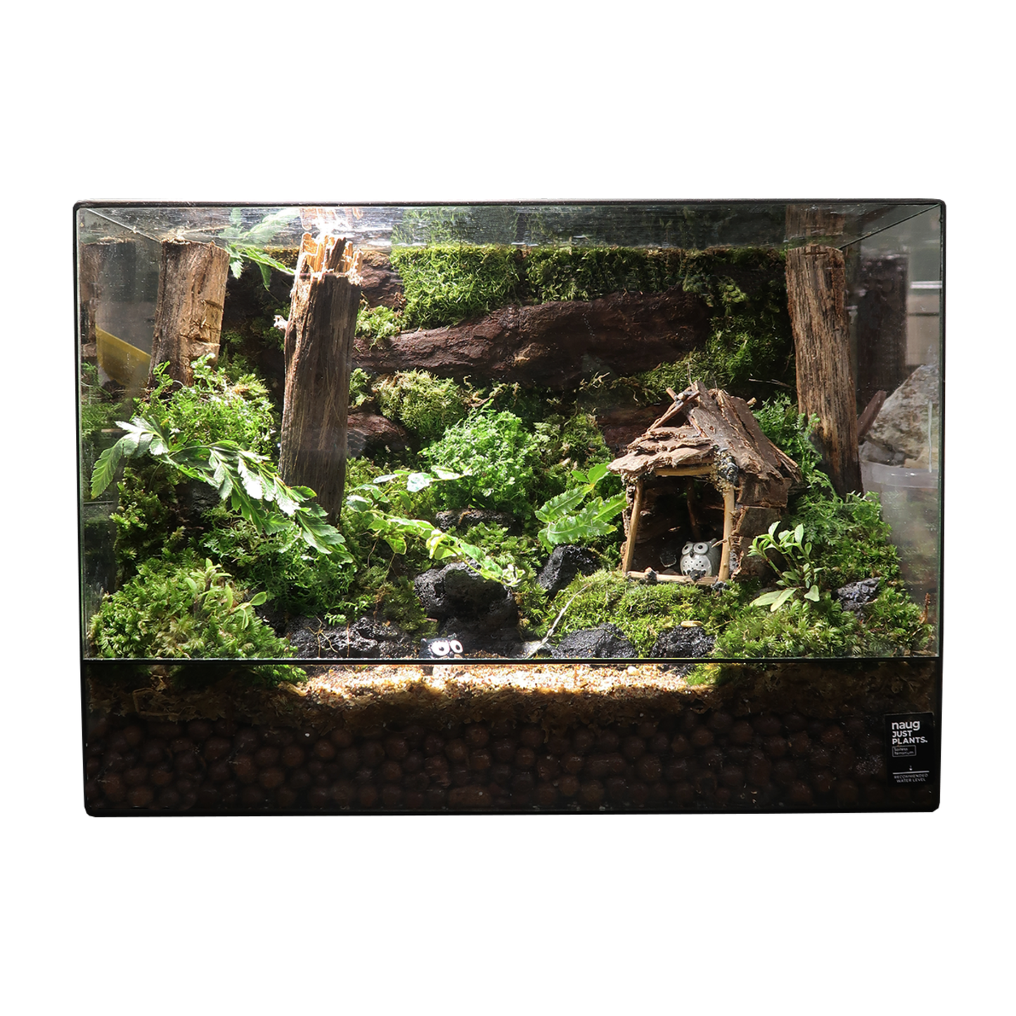 Green Wall Terrarium 35CM x 15CM x 25.7CM