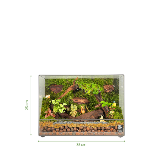 Green Wall Terrarium Series