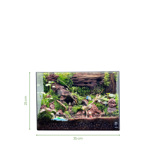 Green Wall Terrarium Series