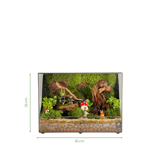 Green Wall Terrarium Series