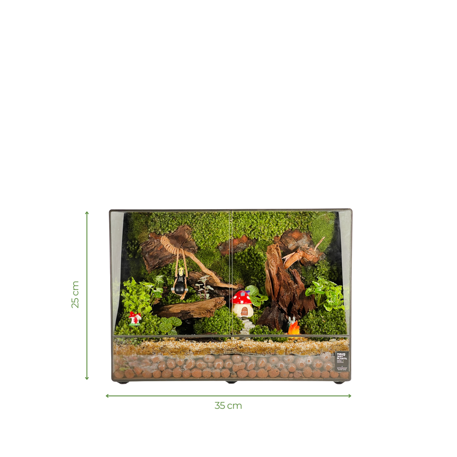 Green Wall Terrarium 35CM x 15CM x 25.7CM