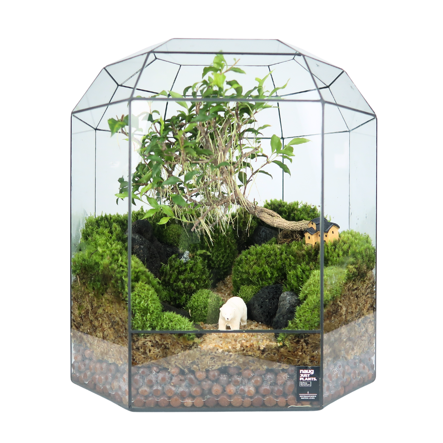 8 Side Terrarium Series