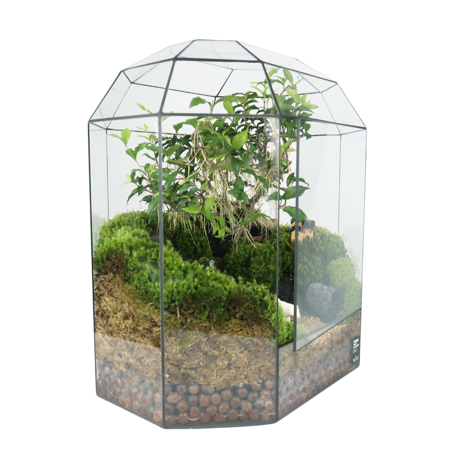 8 Side Terrarium Series