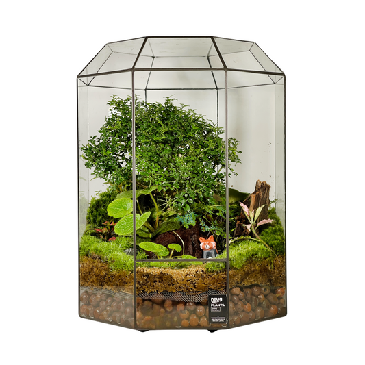 Geometric Terrarium Series