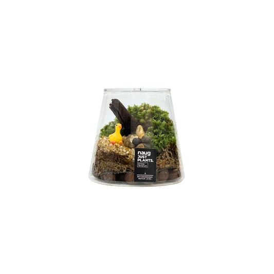 Mount Terrarium Series
