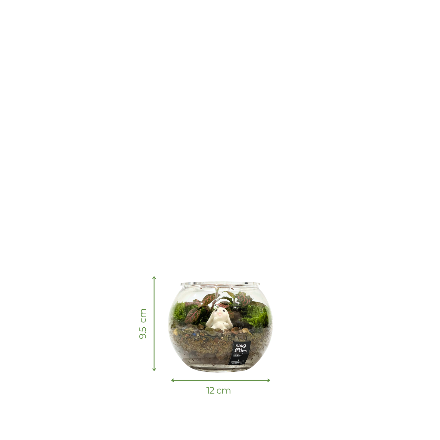 Basic Bowl Terrarium Series