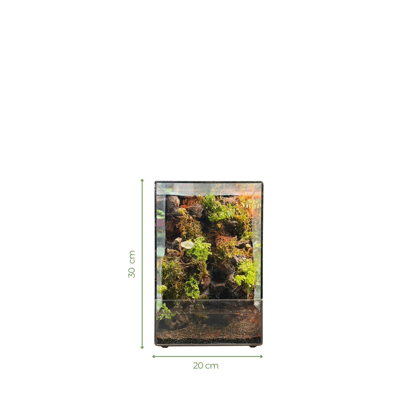 Mini Paludarium Series