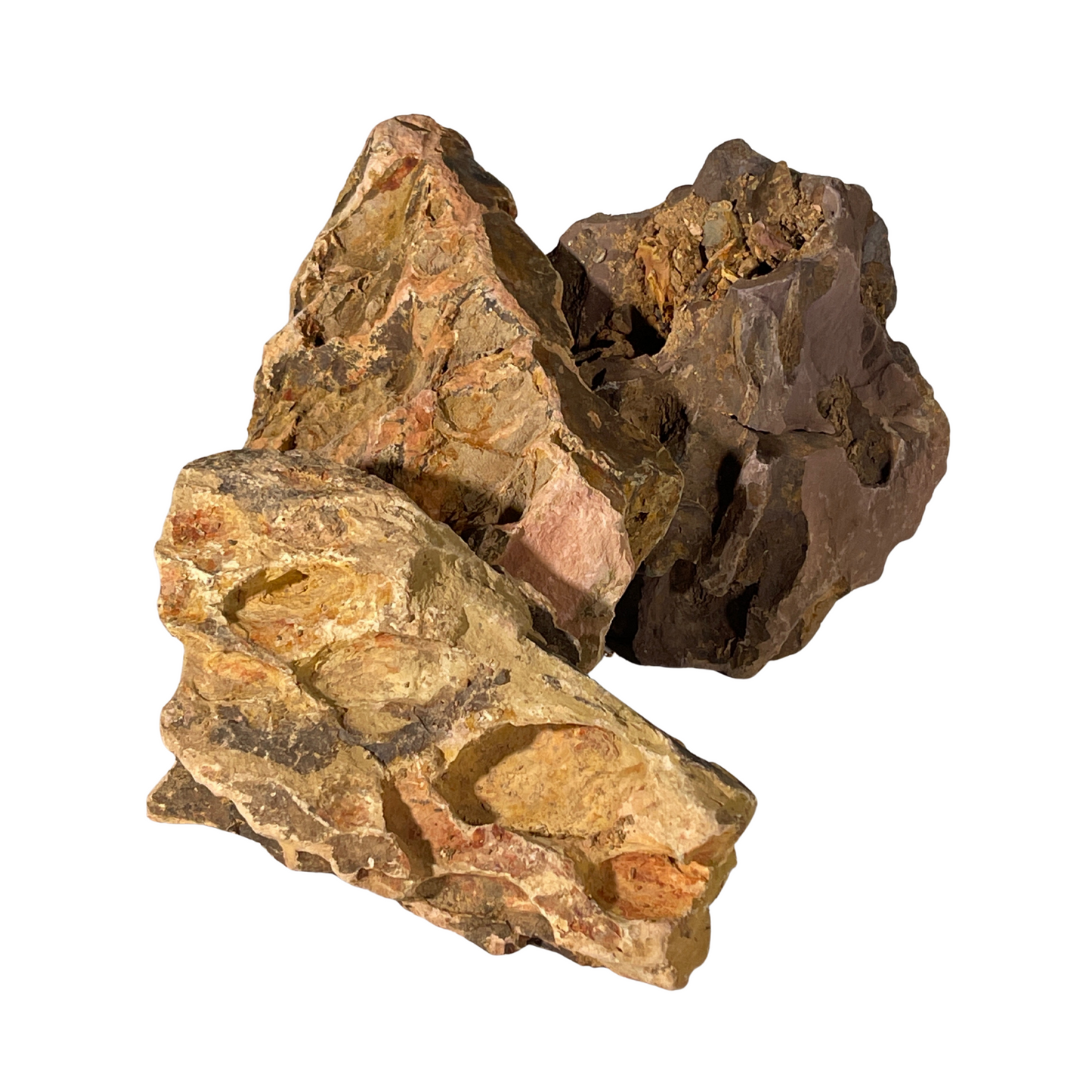 Terrarium Supplies - Alveolate Aquarium Rock