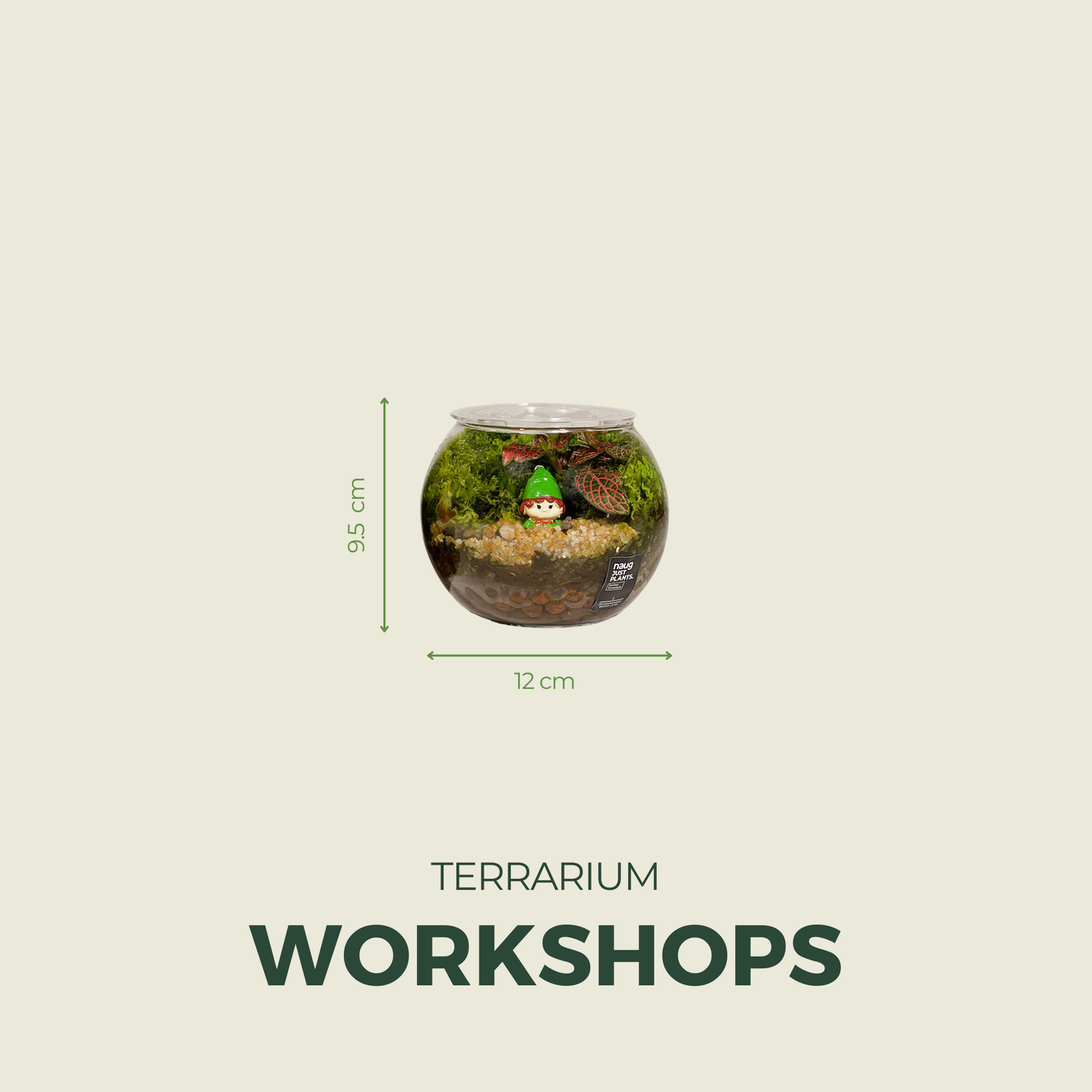 Basic Terrarium 12cm x 9.5cm