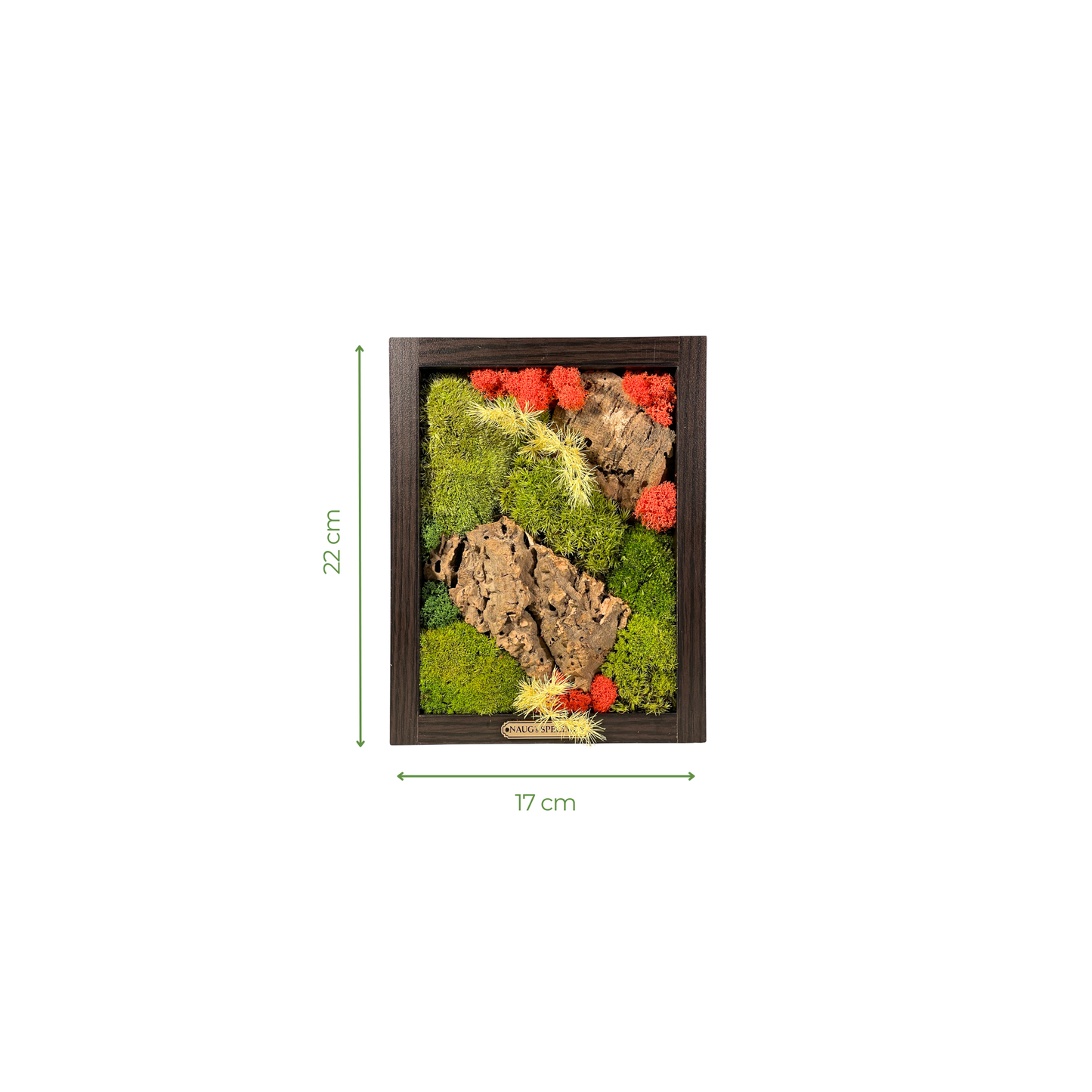 Preserved Moss Frame with Cork Bark 22CM x 17CM