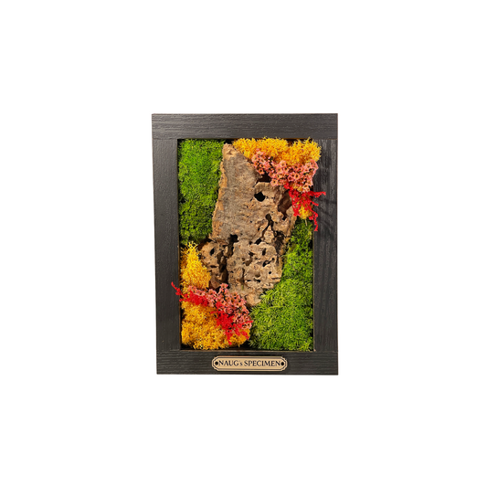 Preserved Moss Frame 180 with Cork Bark