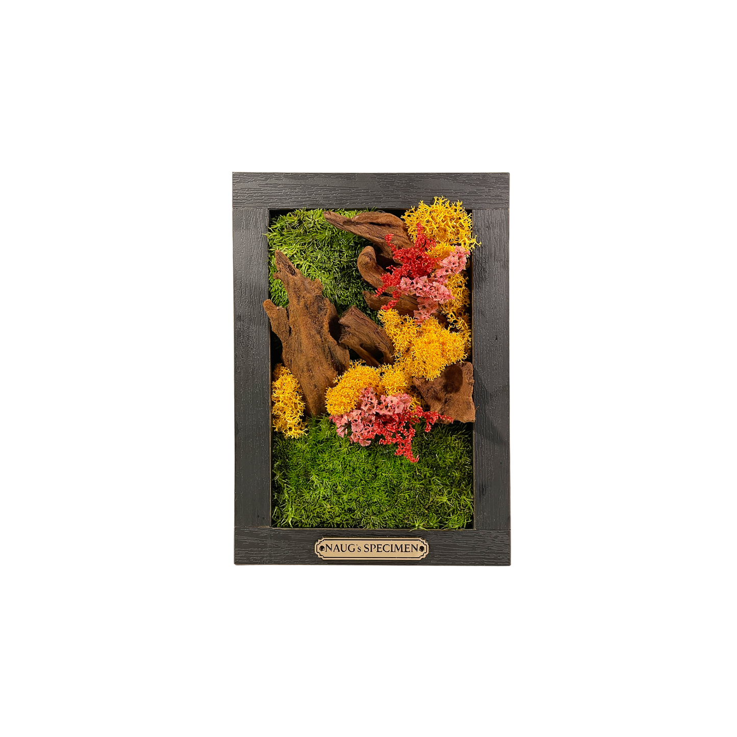 Preserved Moss Frame 180 with Driftwood