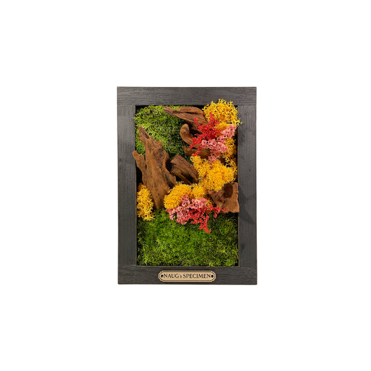 Preserved Moss Frame 180 with Driftwood