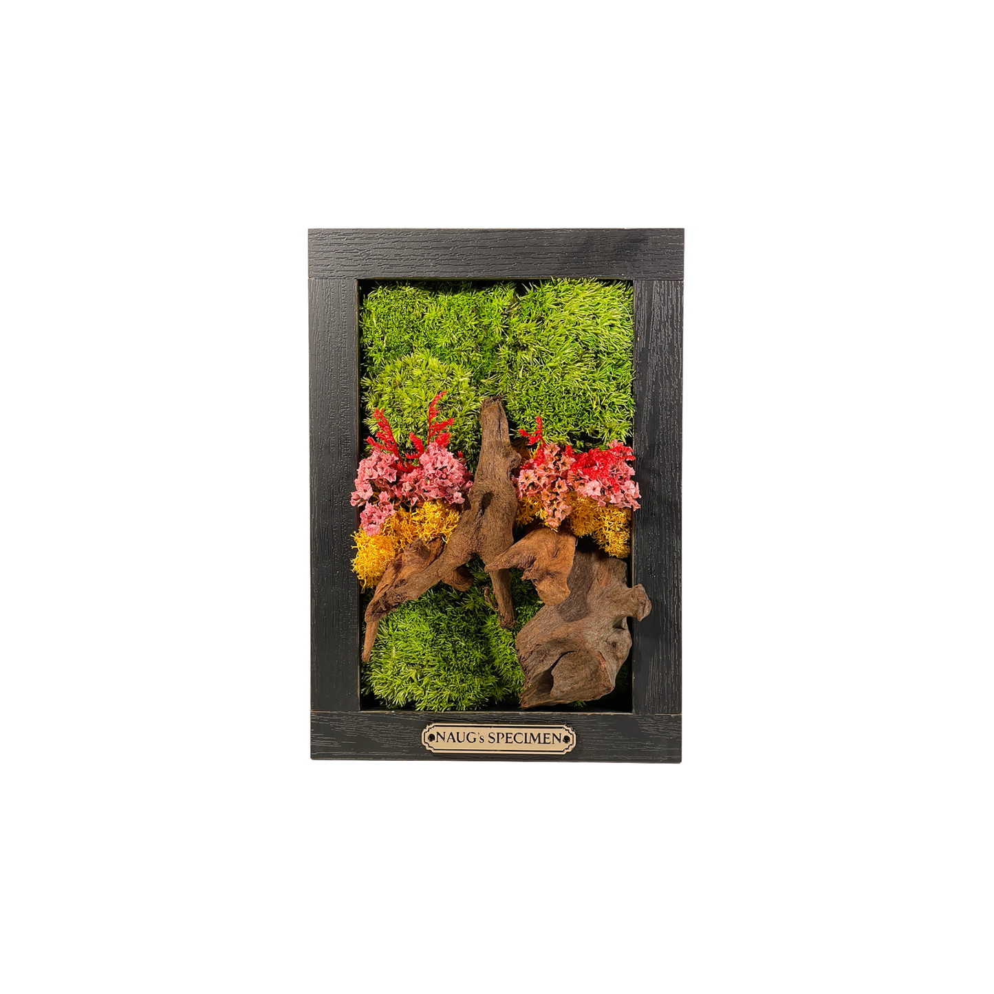 Preserved Moss Frame 180 with Driftwood