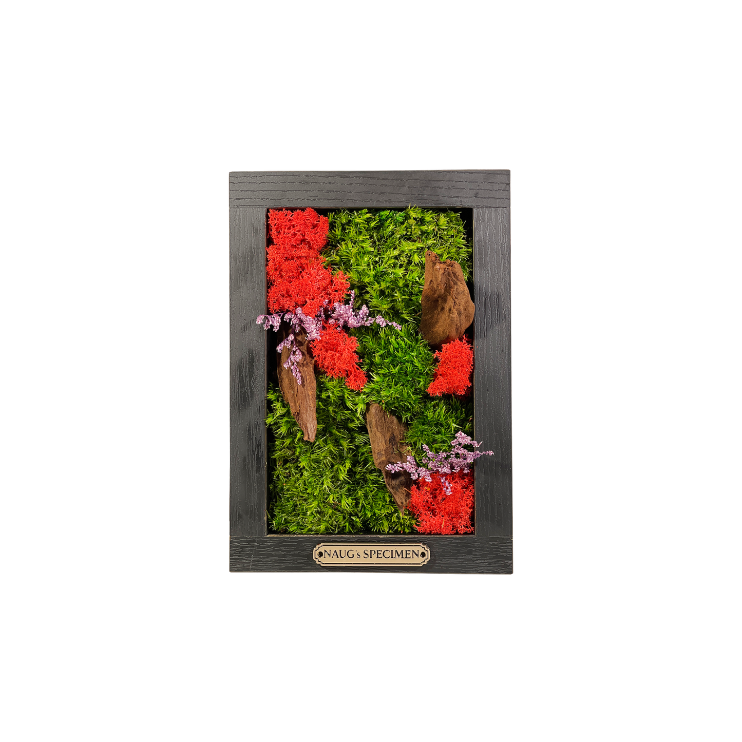 Preserved Moss Frame 180 with Driftwood