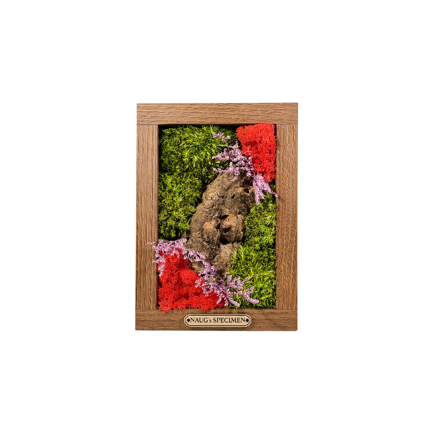 Preserved Moss Frame 180 with Cork Bark