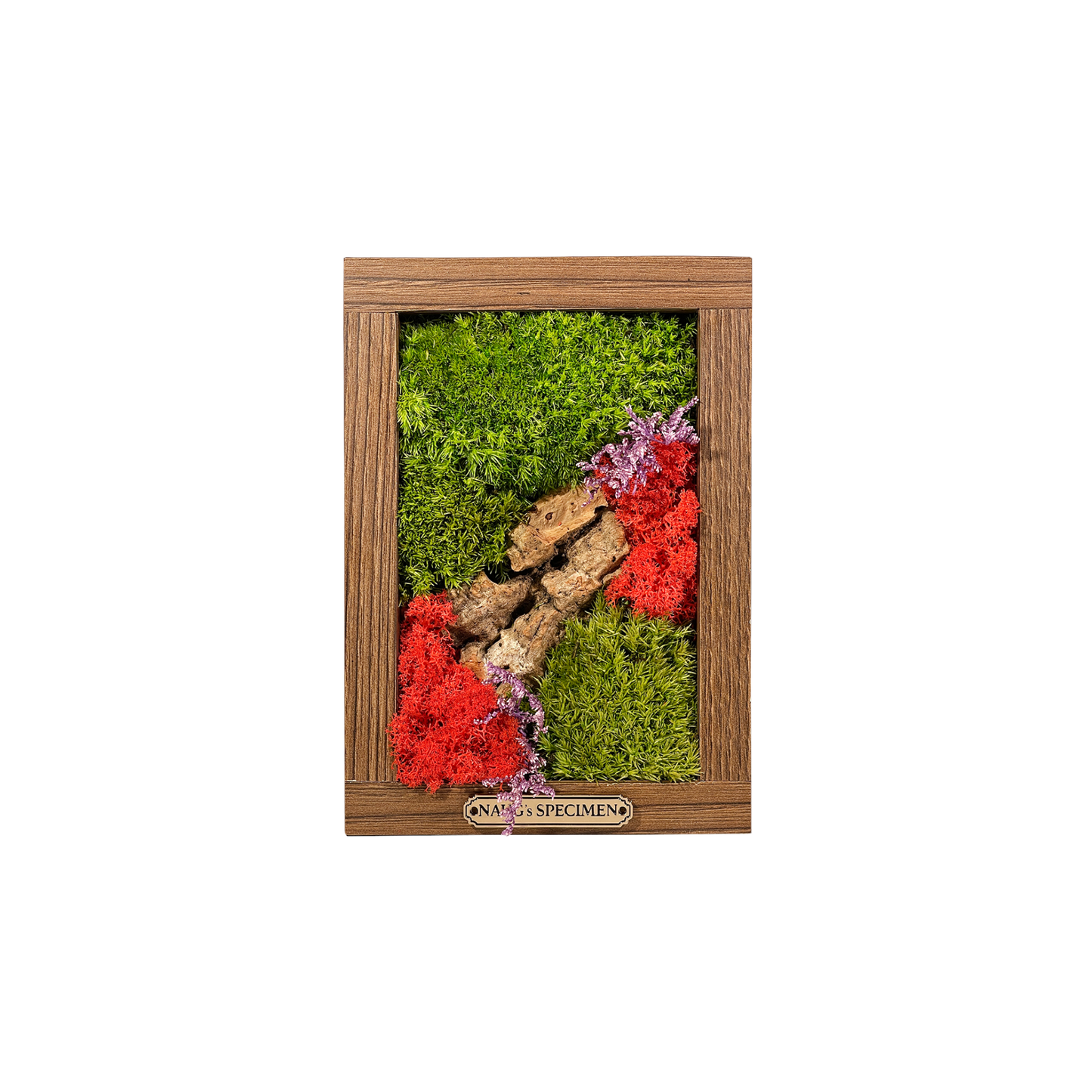 Preserved Moss Frame 180 with Cork Bark