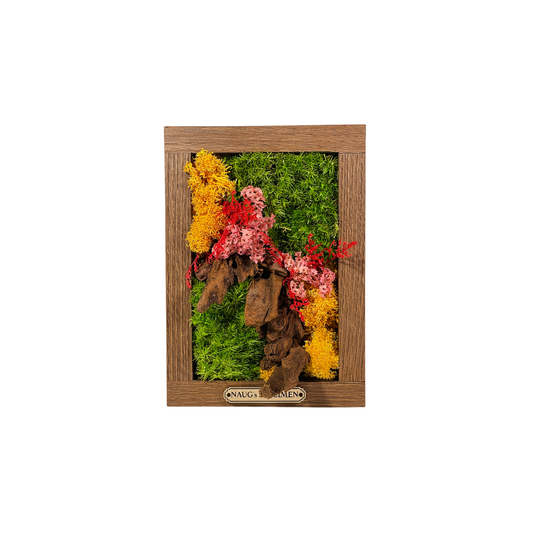 Preserved Moss Frame 180 with Driftwood