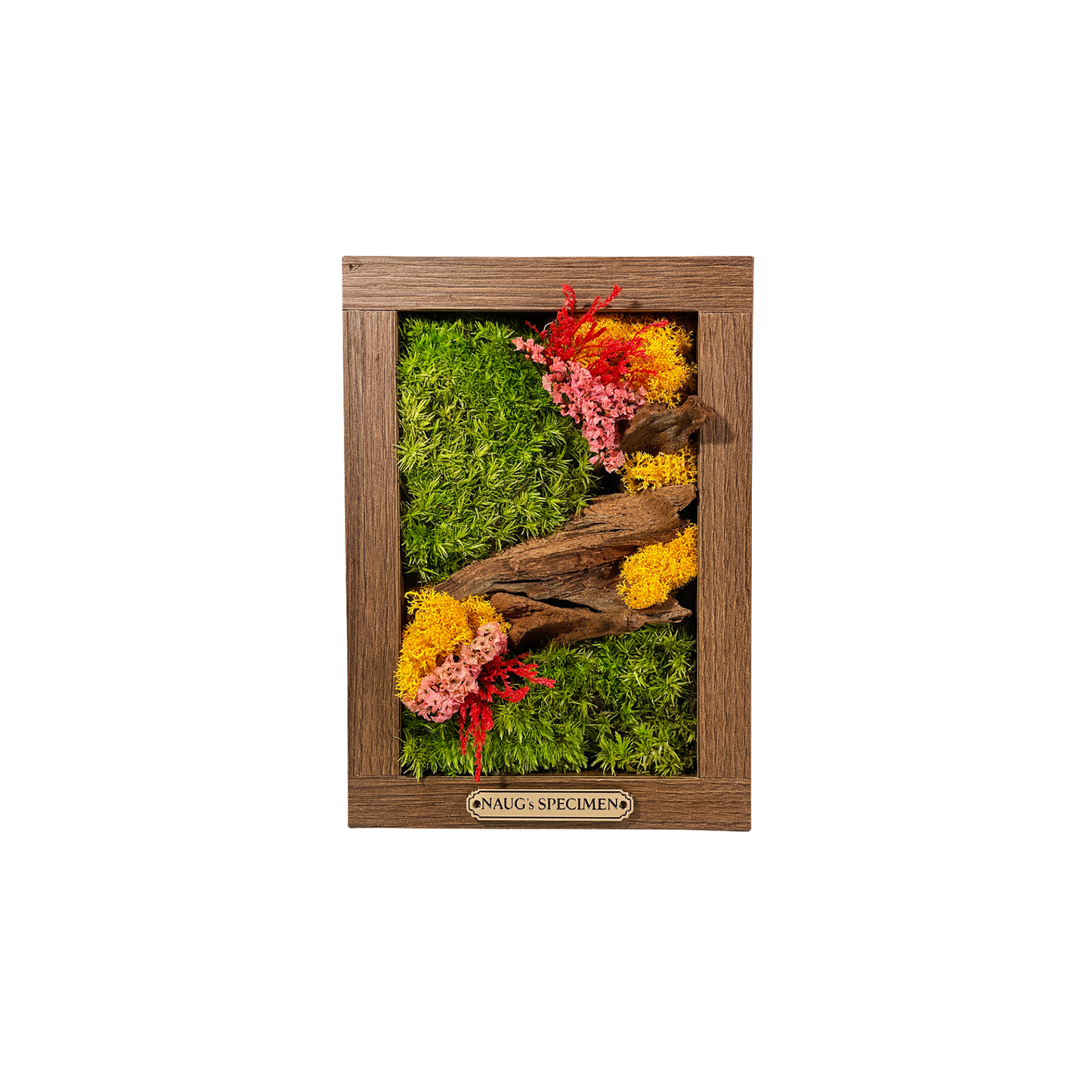 Preserved Moss Frame 180 with Driftwood