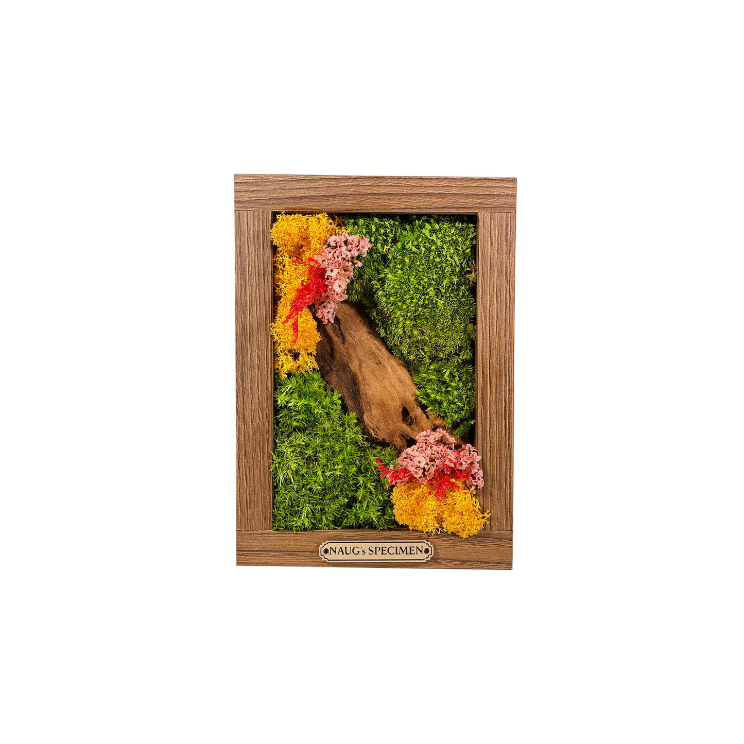 Preserved Moss Frame 180 with Driftwood