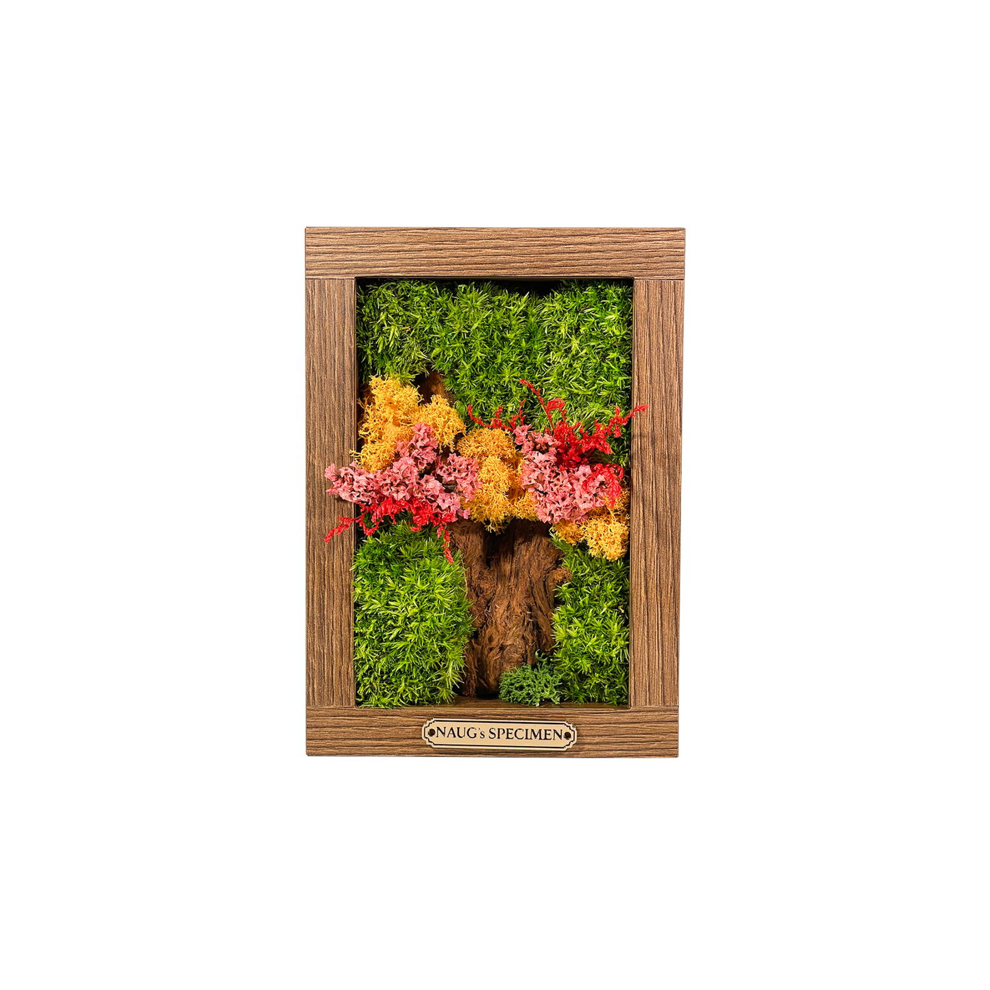 Preserved Moss Frame 180 with Driftwood