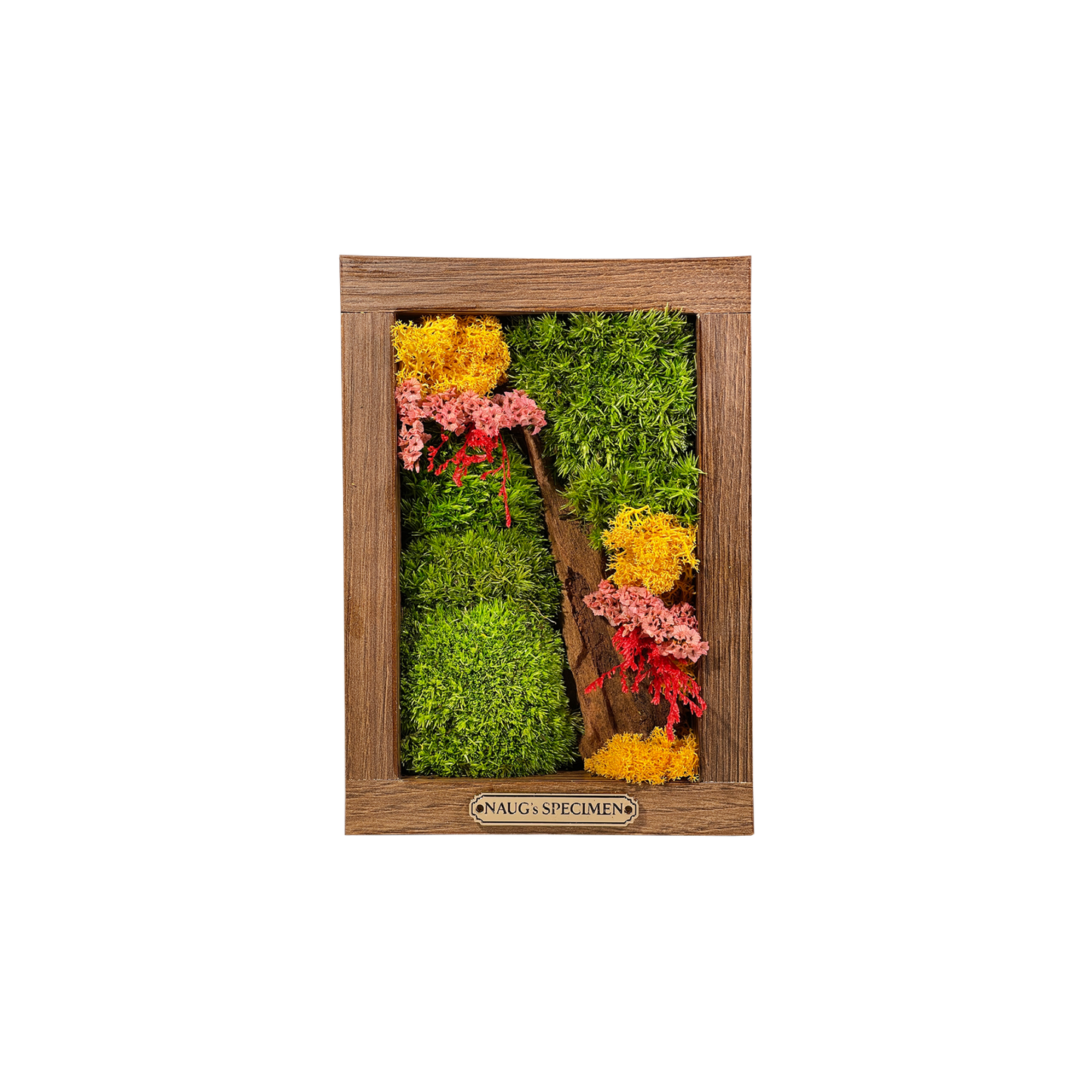 Preserved Moss Frame 180 with Driftwood