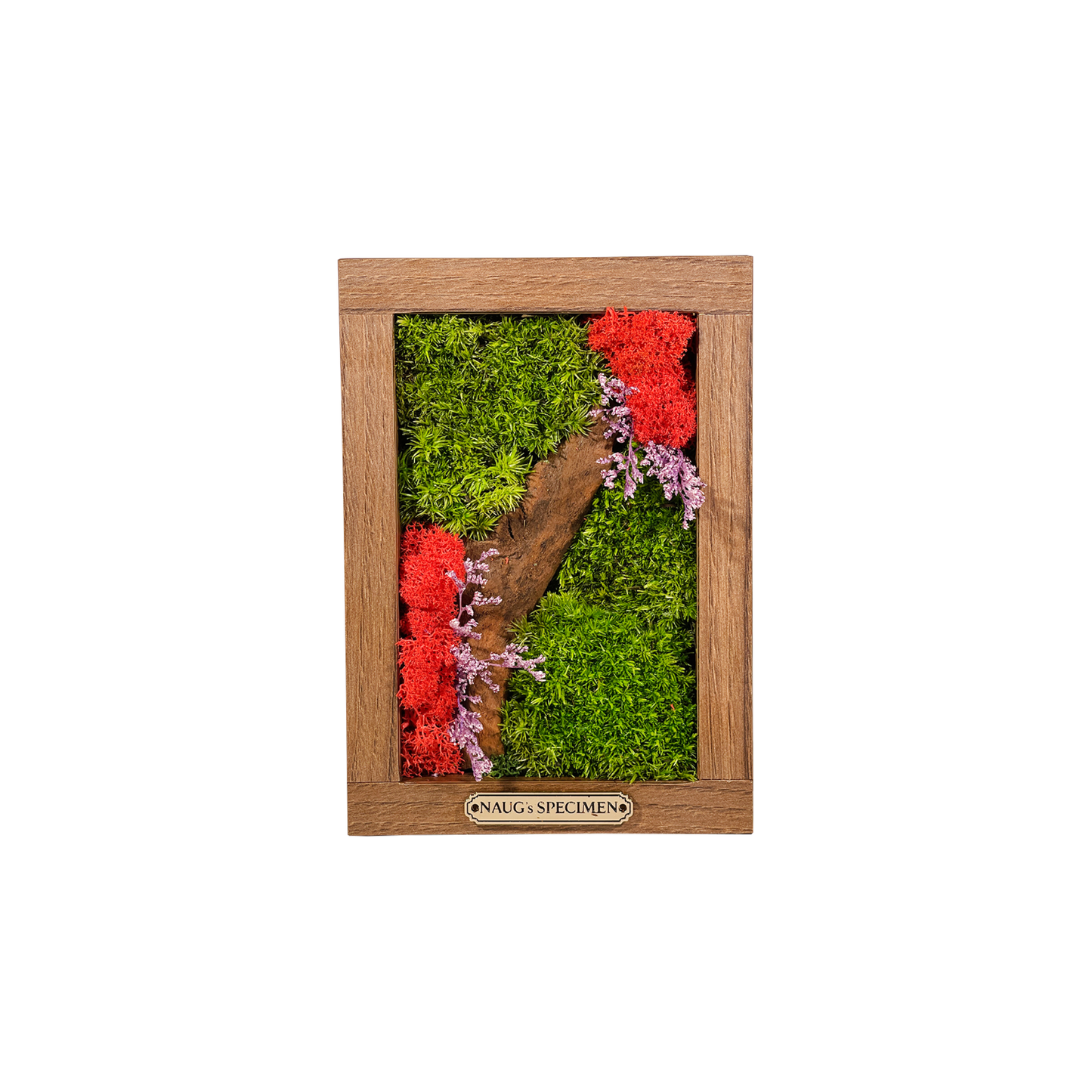 Preserved Moss Frame 180 with Driftwood