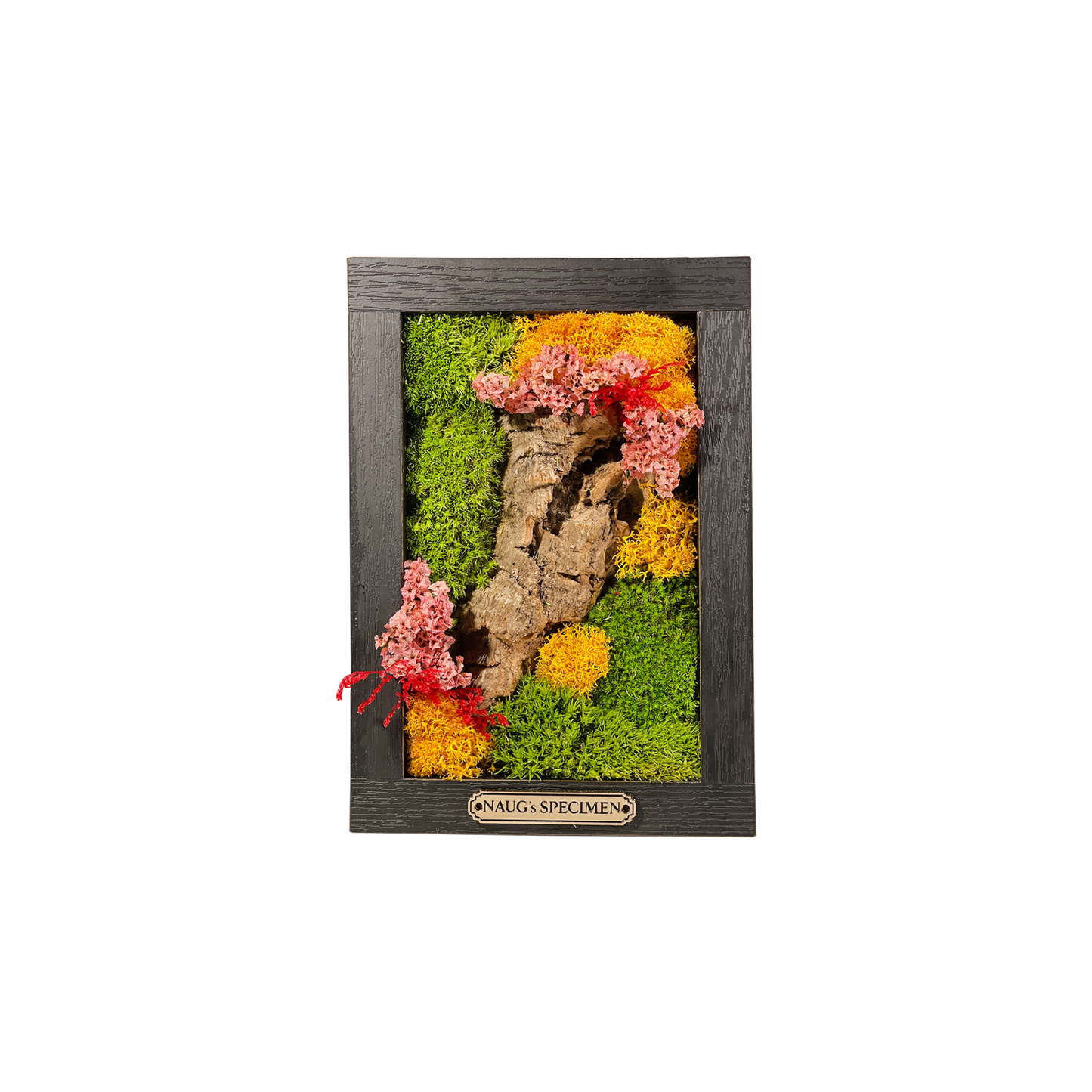 Preserved Moss Frame 180 with Cork Bark