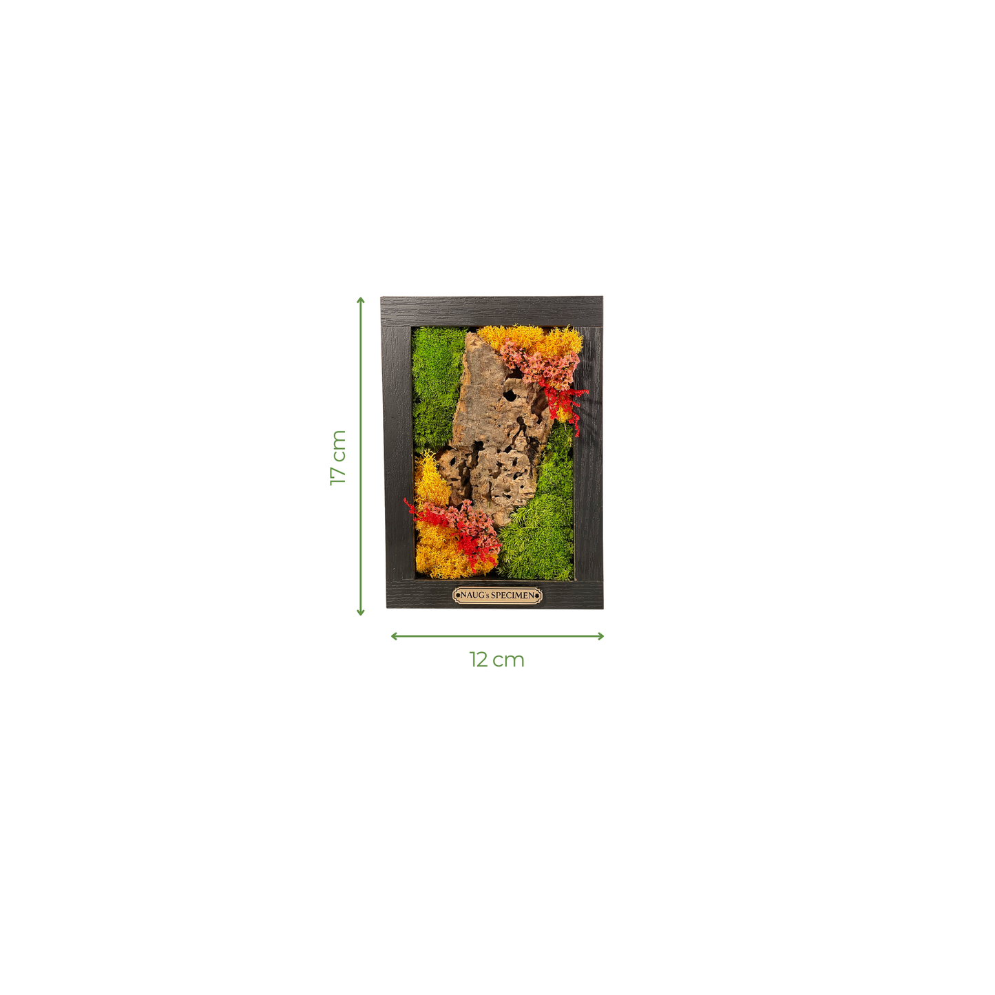 Preserved Moss Frame with Cork Bark 17CM x 12CM