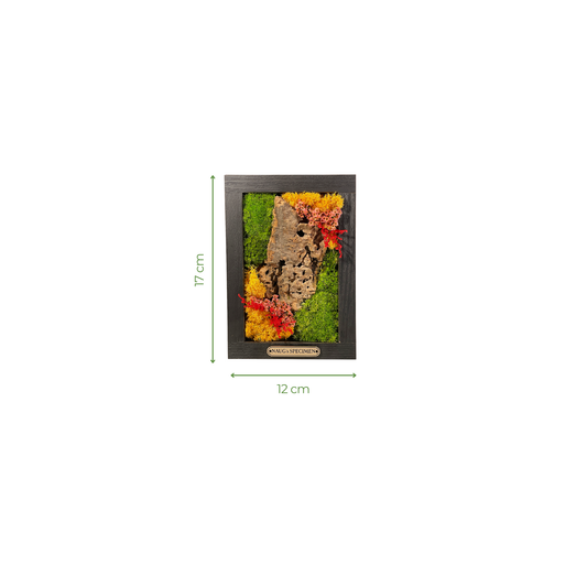 Preserved Moss Frame with Cork Bark 17CM x 12CM
