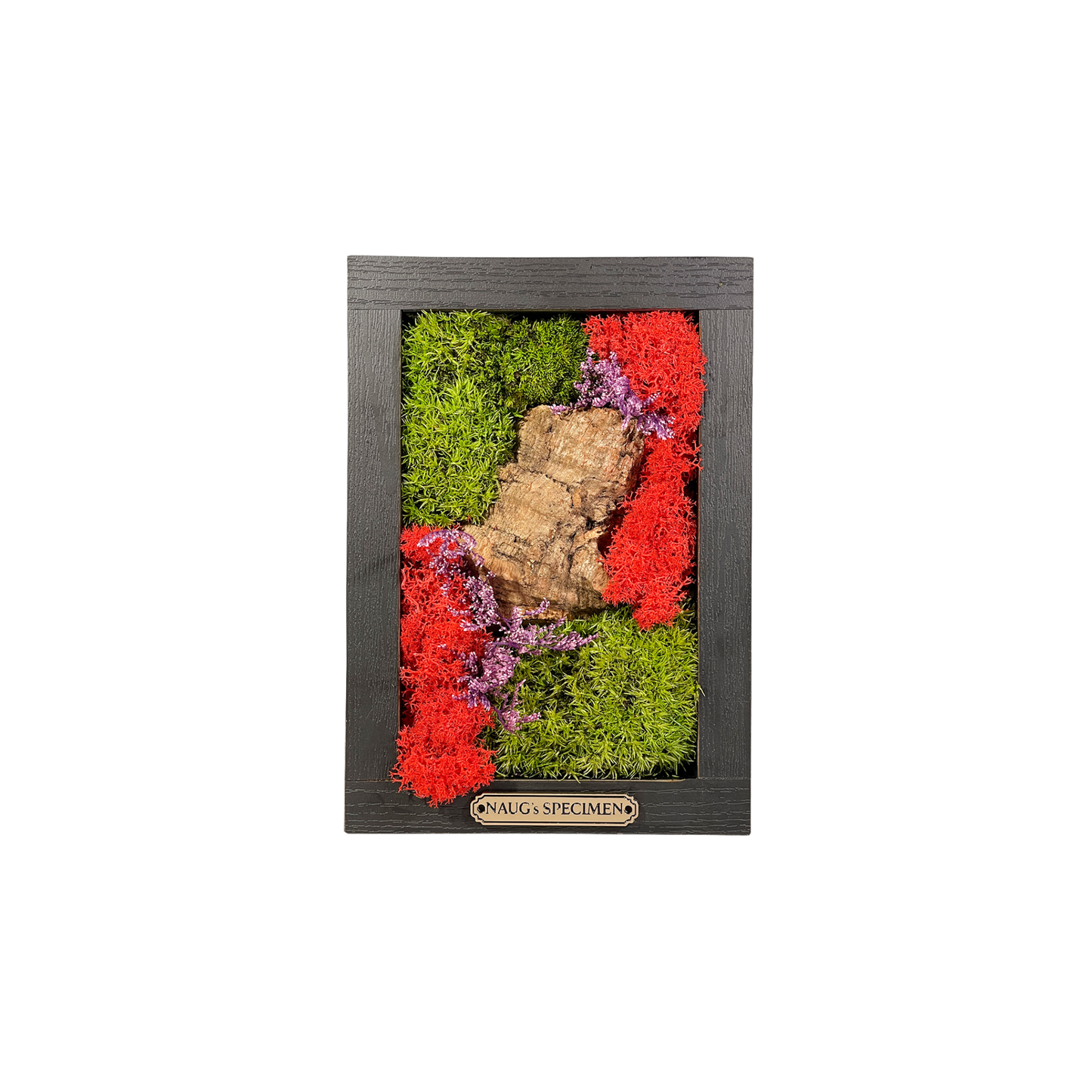 Preserved Moss Frame 180 with Cork Bark