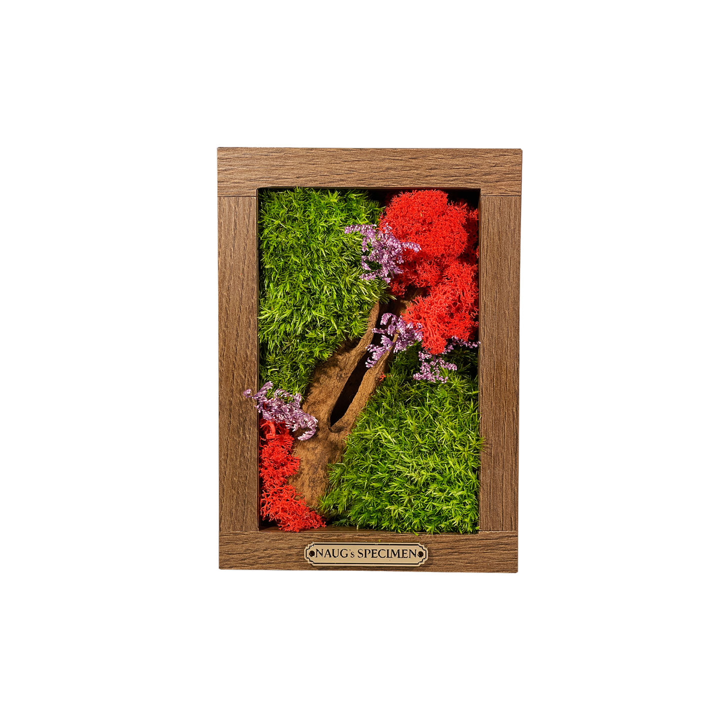 Preserved Moss Frame 180 with Driftwood