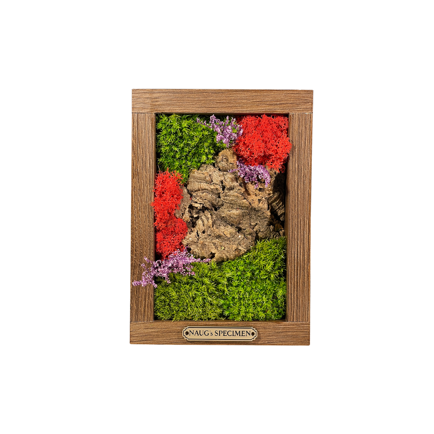 Preserved Moss Frame 180 with Cork Bark