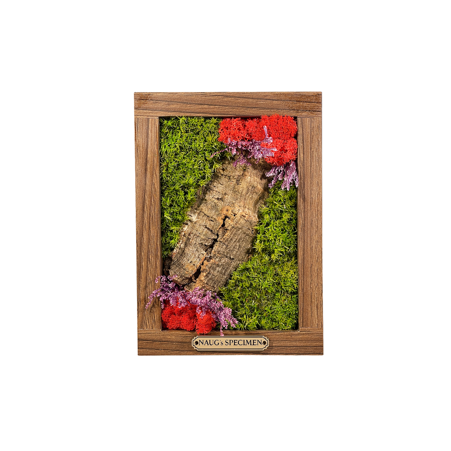 Preserved Moss Frame 180 with Cork Bark