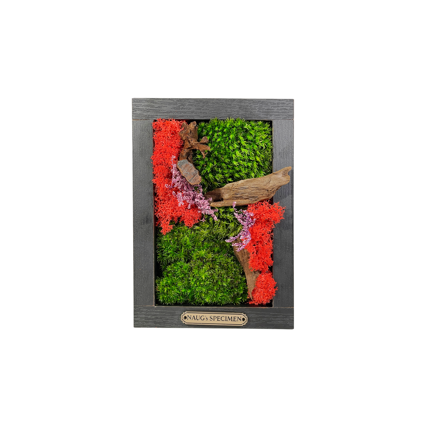 Preserved Moss Frame 180 with Driftwood