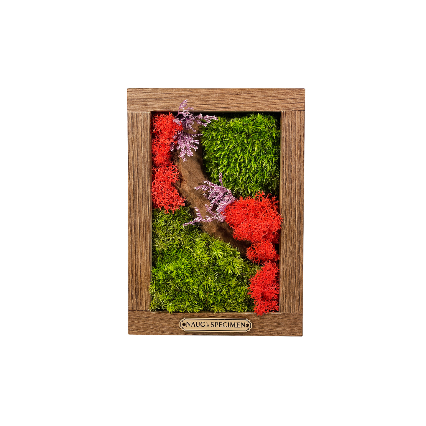 Preserved Moss Frame 180 with Driftwood