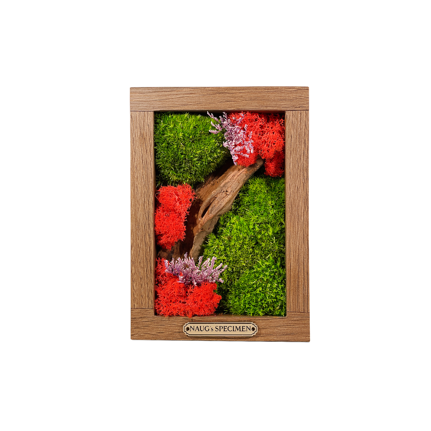 Preserved Moss Frame 180 with Driftwood