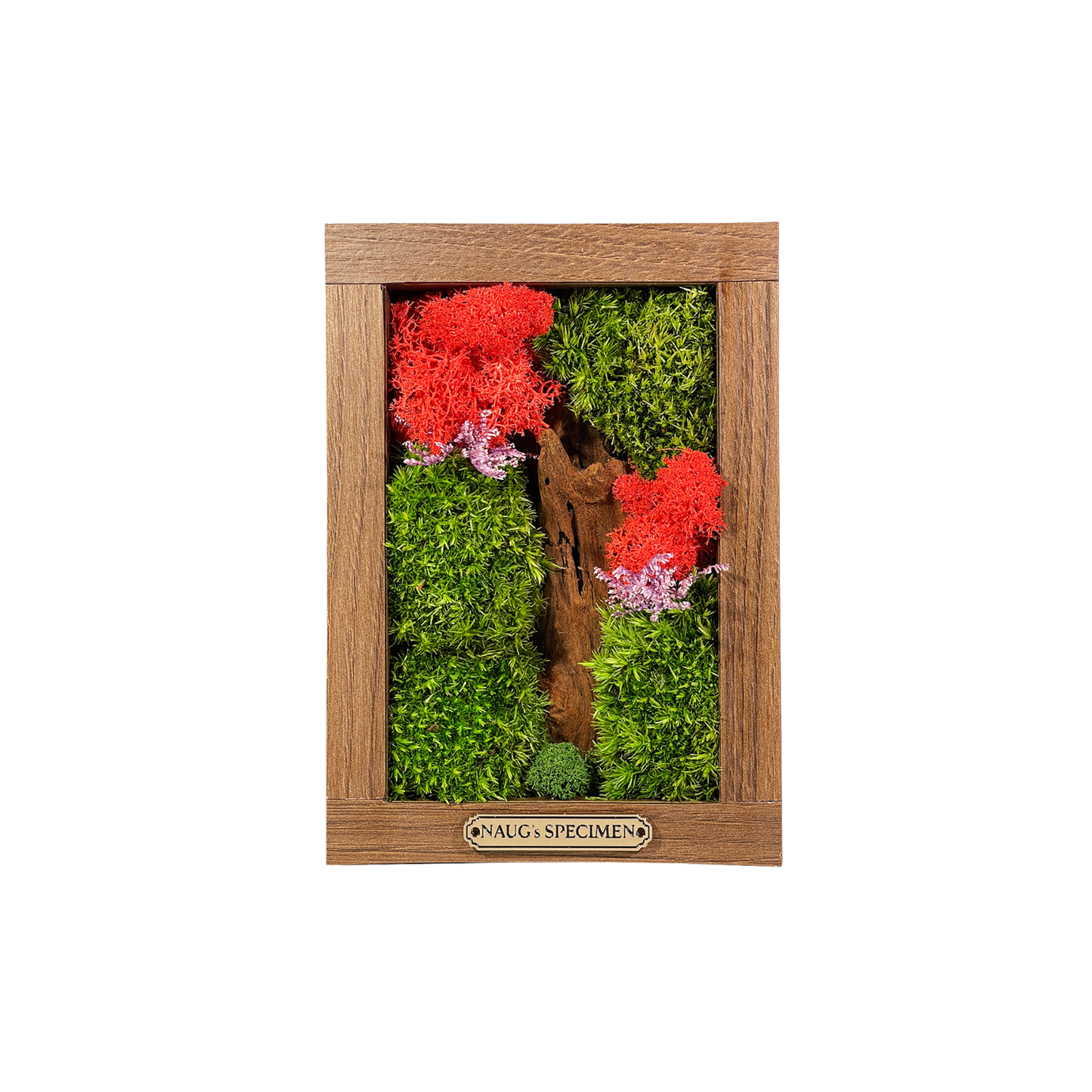 Preserved Moss Frame 180 with Driftwood