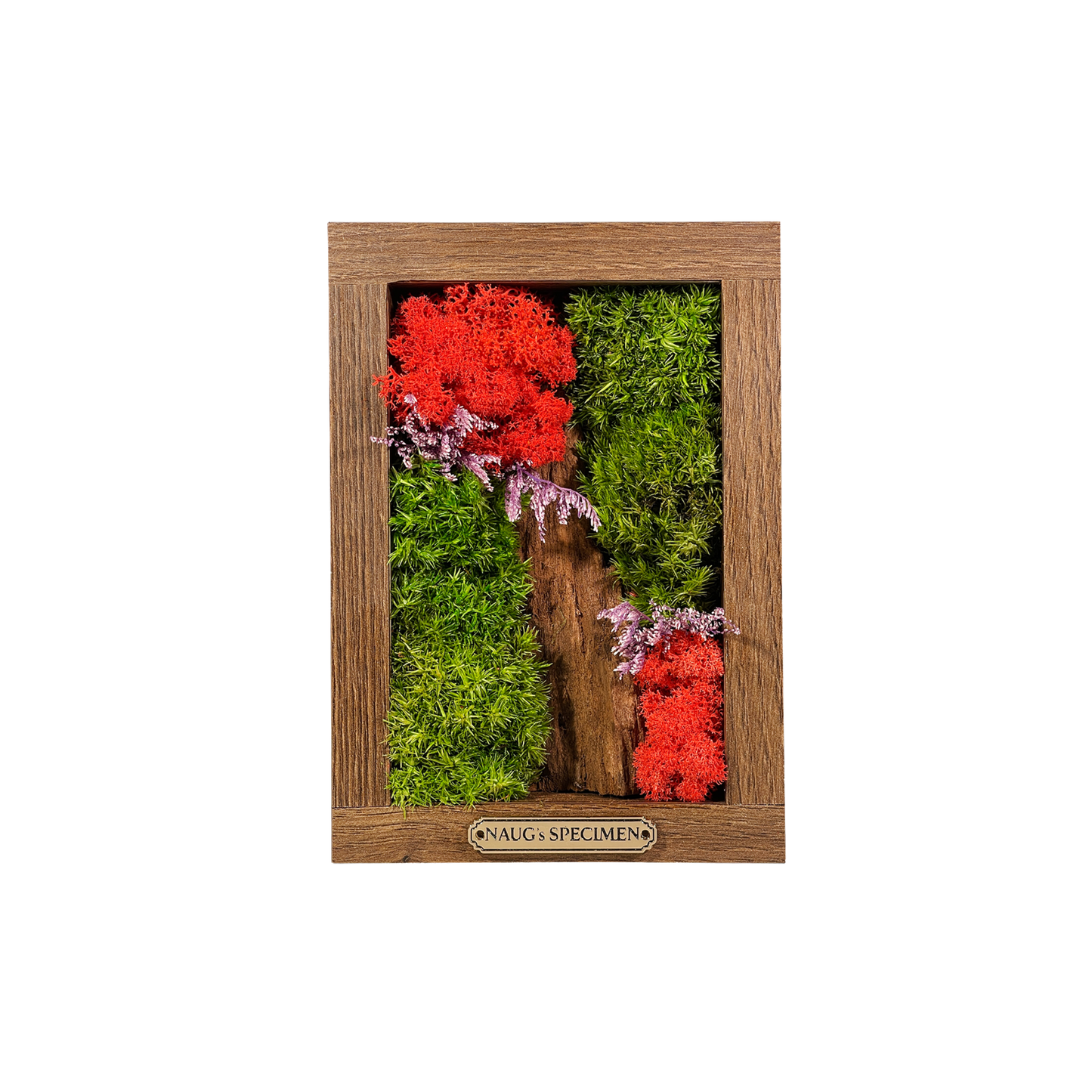 Preserved Moss Frame 180 with Driftwood