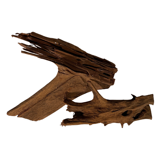 Terrarium Supplies - Driftwood