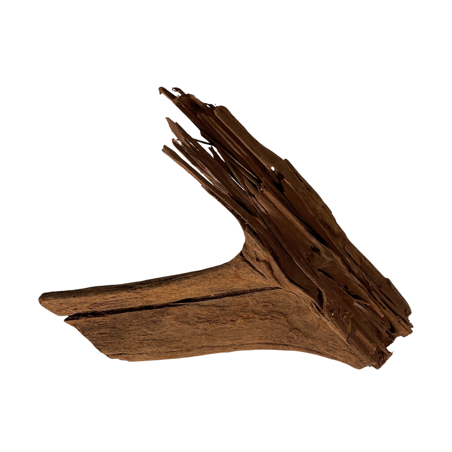 Terrarium Supplies - Driftwood