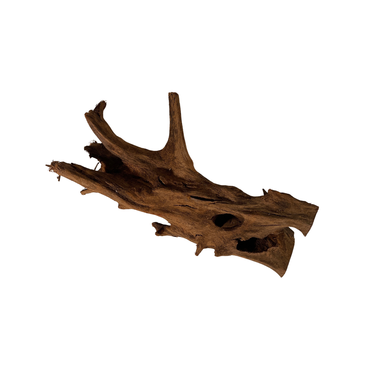 Terrarium Supplies - Driftwood