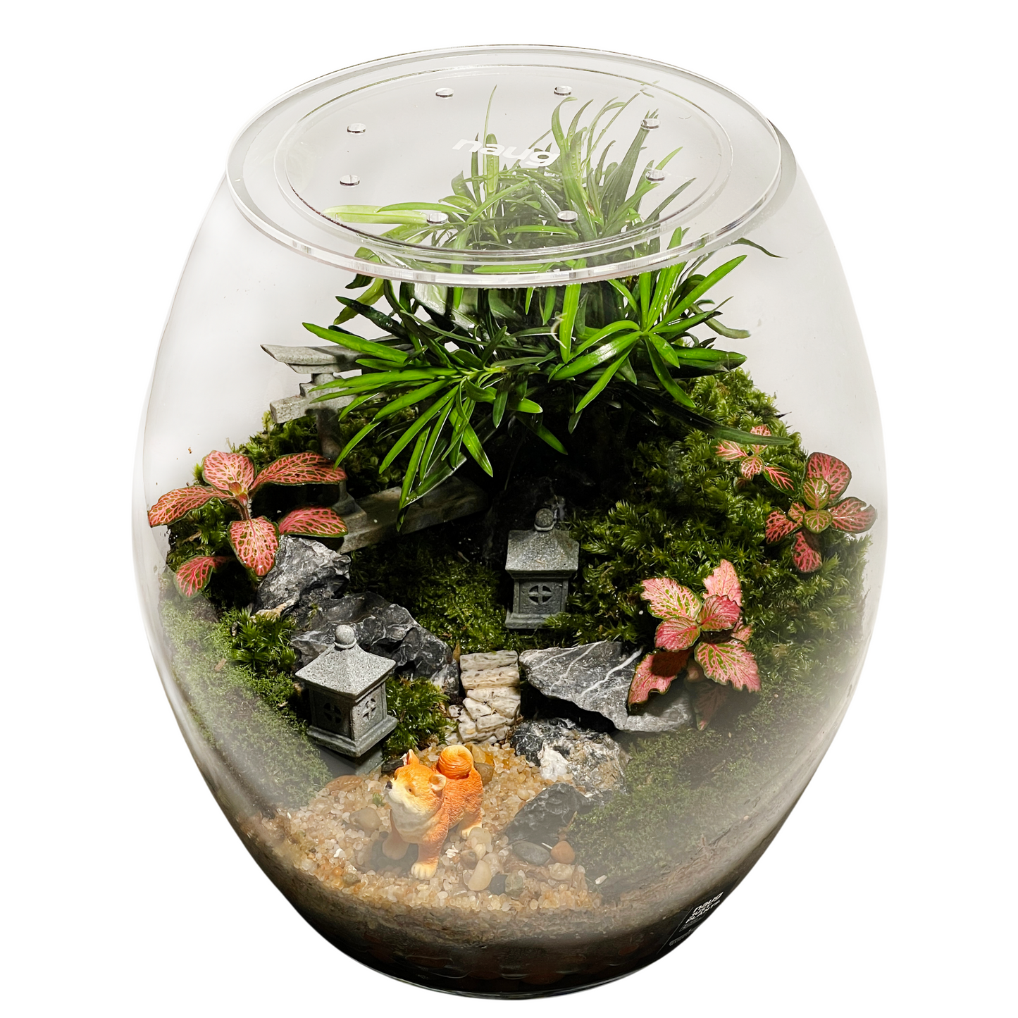 Egg Bowl Terrarium Series
