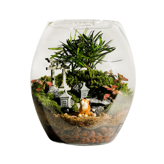 Egg Bowl Terrarium Series