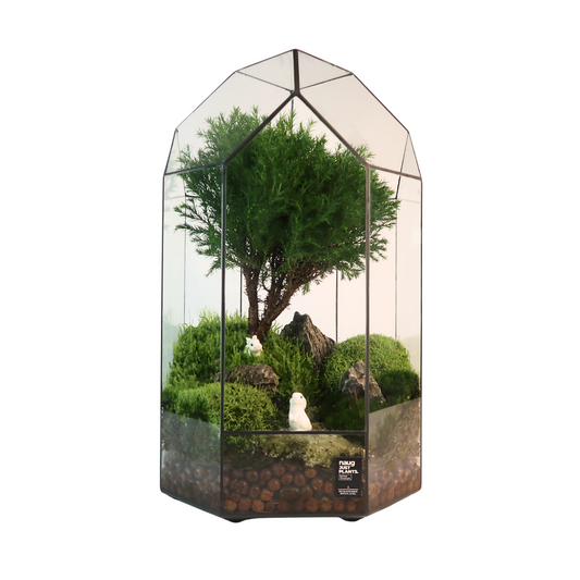 8 Side Terrarium Series