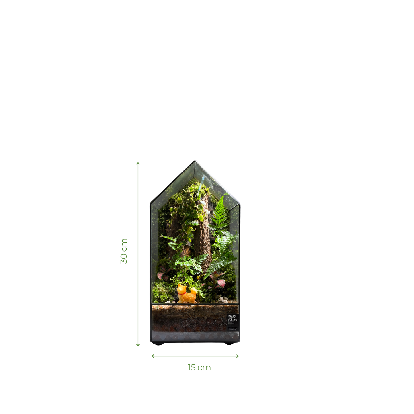 GreenHouse Terrarium 15CM X 15CM X 30CM