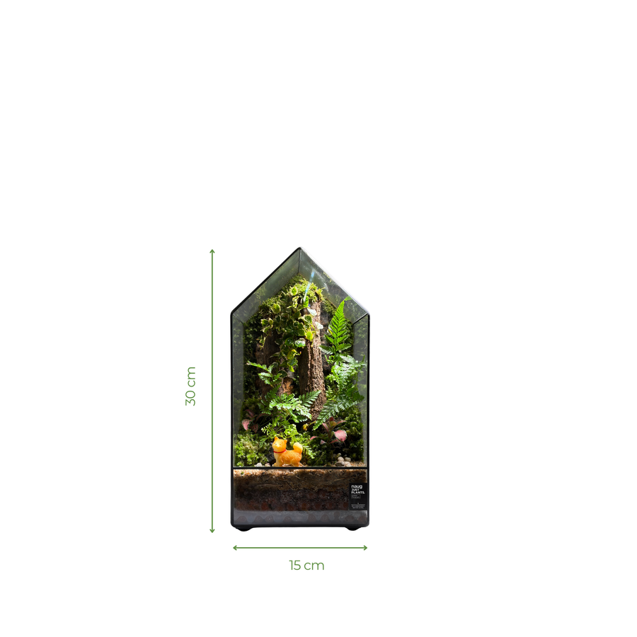 GreenHouse Terrarium 15CM X 15CM X 30CM